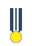 MedalIcon