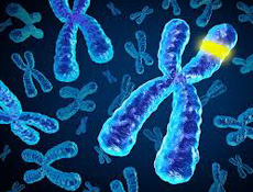 Rachel Auslander, Jordan Moldow, Rodrigo Torrejon