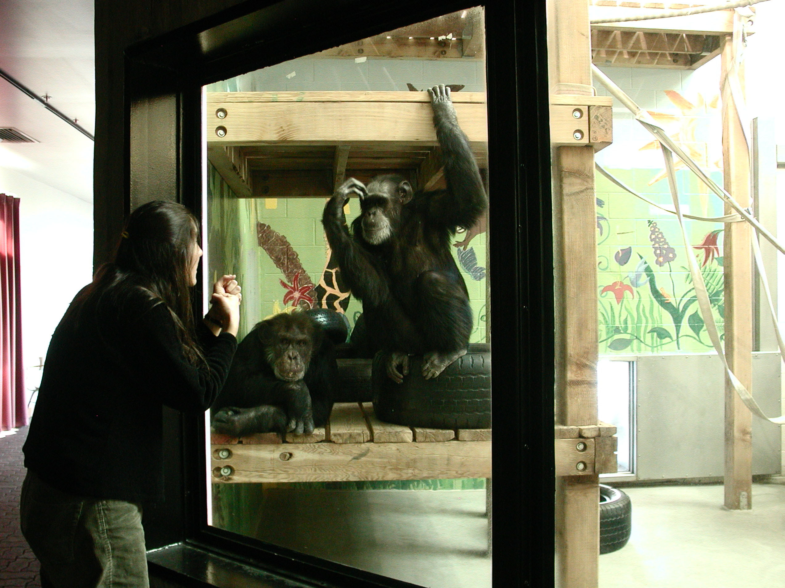 MaryLeeJensvoldmetalou