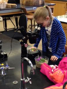 Alfred University Chapter Works with Local Girl Scouts 2014