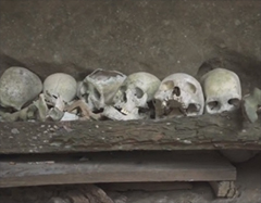 archeology_film archeology_film