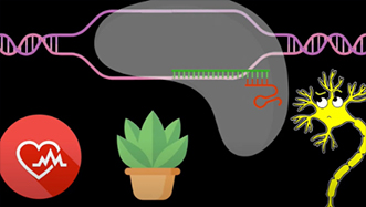 crispr_film crispr_film