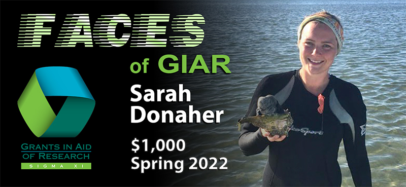 FACES_GIAR_2025_promo_FullPhoto_Donaher