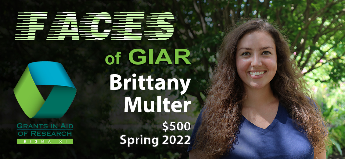 FACES_GIAR_Multer_promo