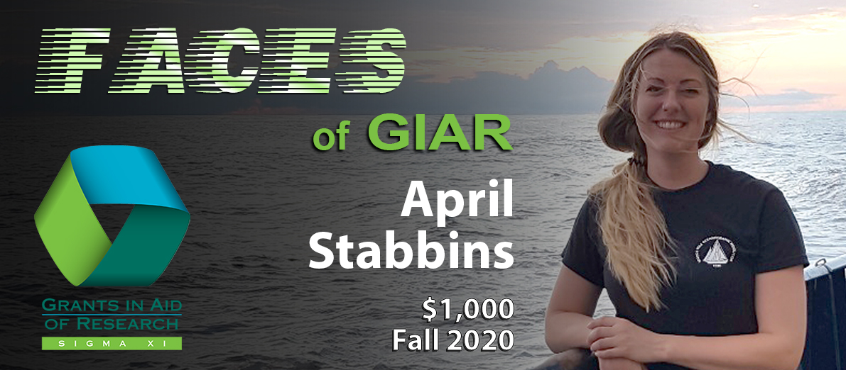 FACES_GIAR_promo_april_stabbins