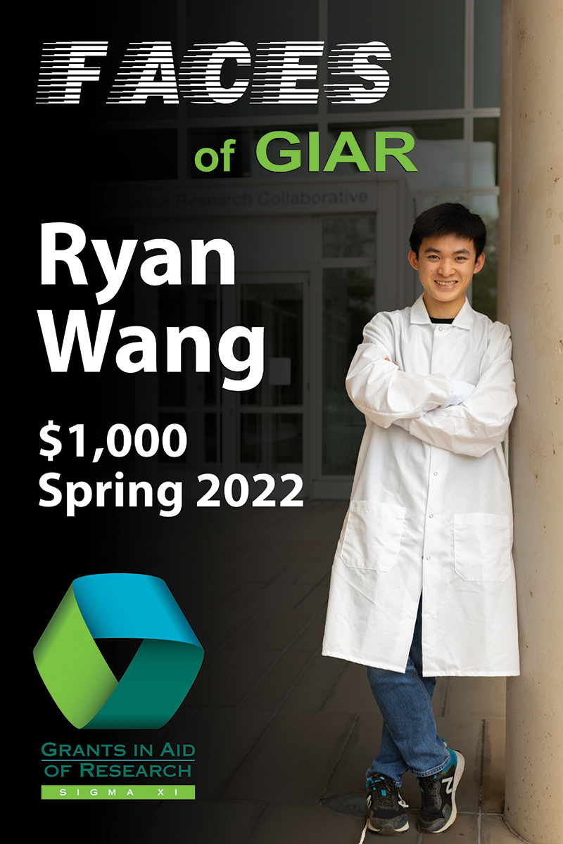 Faces_vertical_2025_Ryan_Wang_800_1200