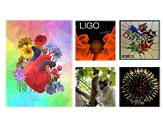 SAFF21_Awards_240-187