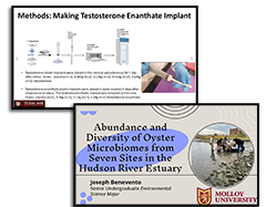 SRS_2023_winners_240_187