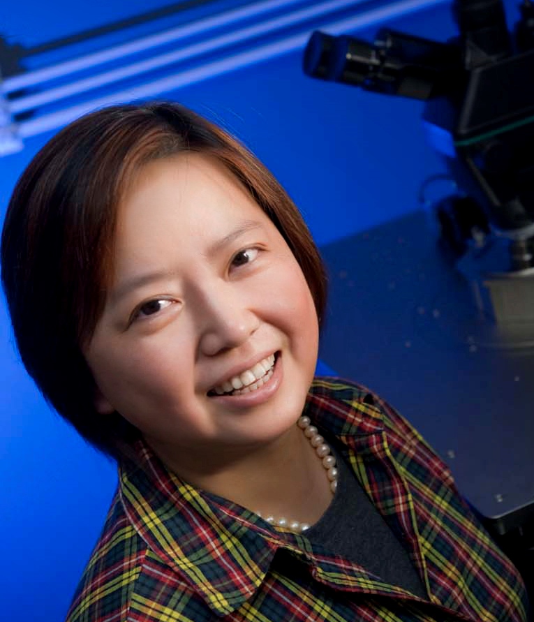 Xin Zhang_Boston University-2