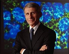 Anthony Fauci portrait 