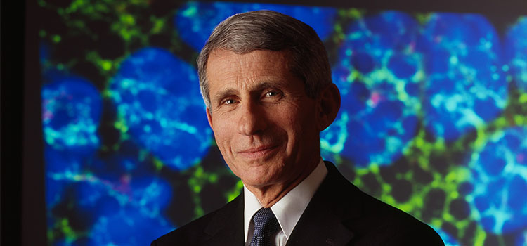 Anthony Fauci portrait 
