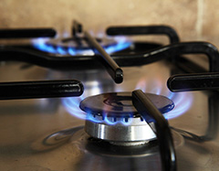 A gas-burning range
