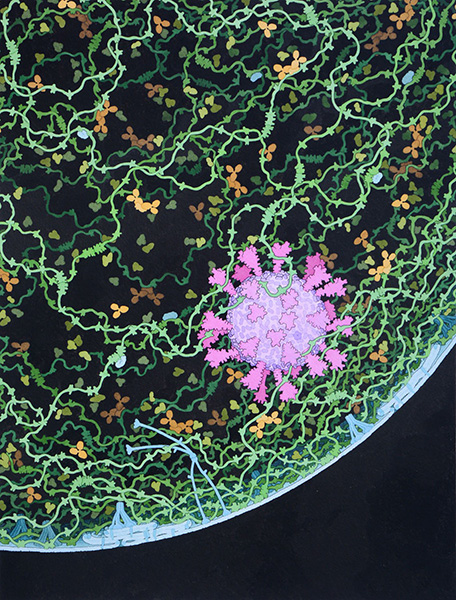 David Goodsell coronavirus picture David Goodsell coronavirus picture