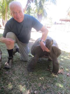 Jim Hansen Wild Tortoise